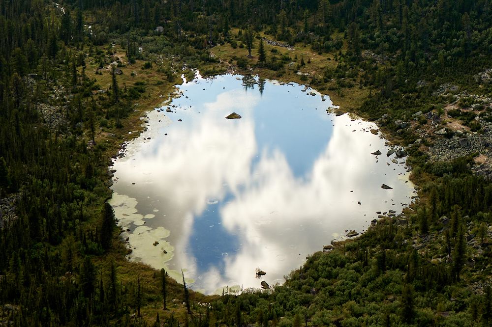 Photograph by Глеб Заходякин