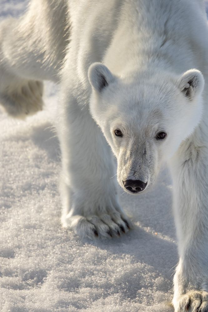 Photograph by Cindy Jones