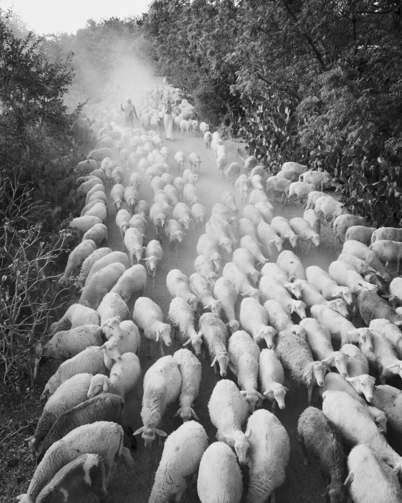 Photograph by Nguyen Ngoc Tuan