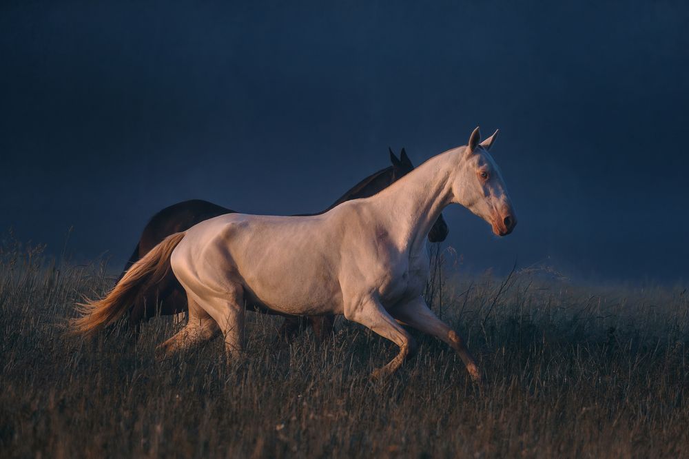 Photograph by Кристина Ксендзова