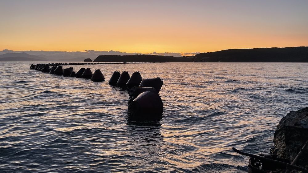 Photograph by Ольга Ильина