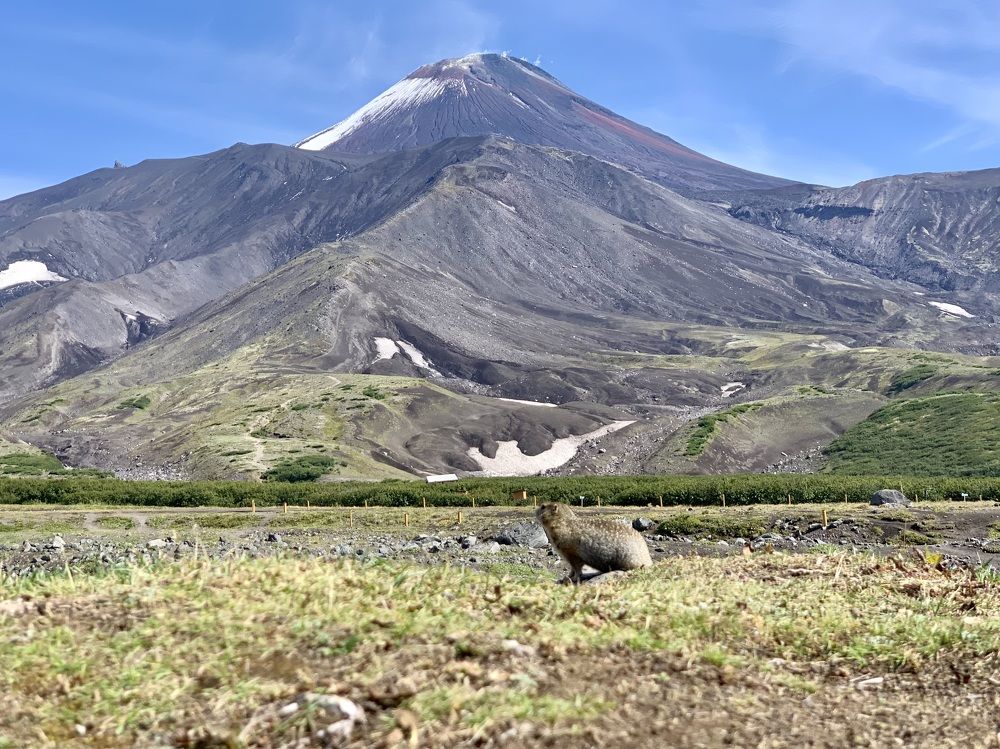 Photograph by Ольга Ильина