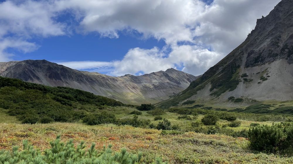 Photograph by Ольга Ильина