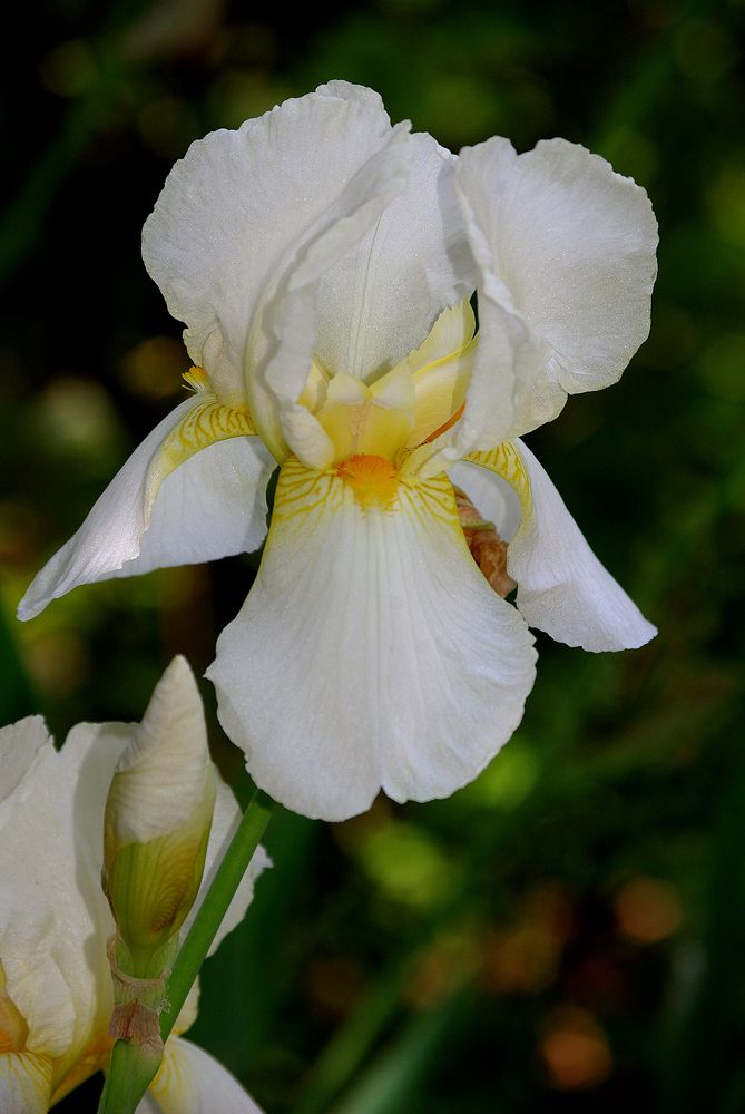 Photograph by Лилия Потравнова