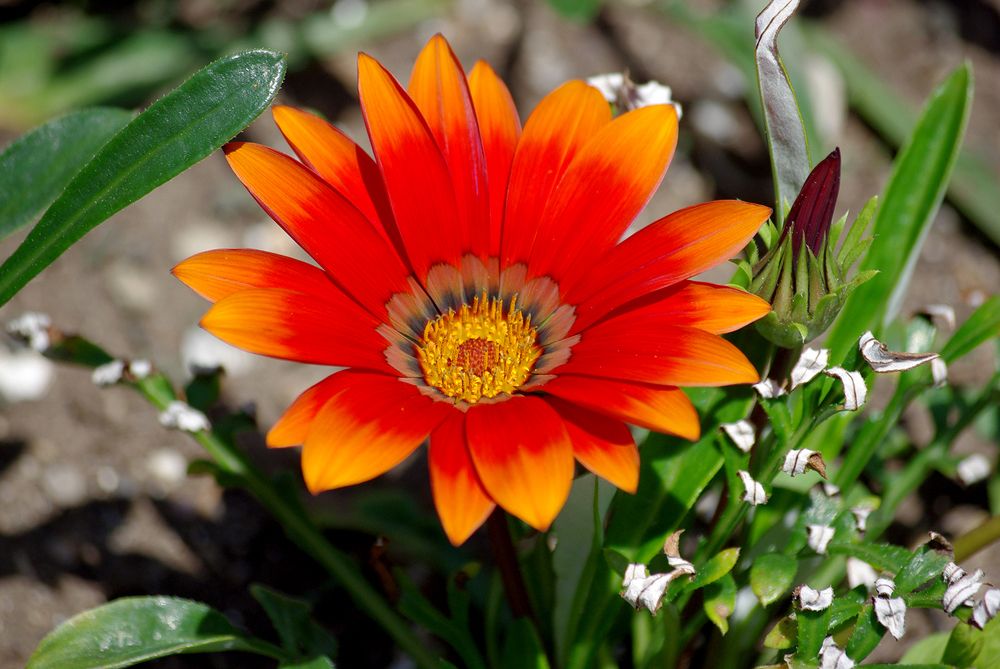 Photograph by Лилия Потравнова