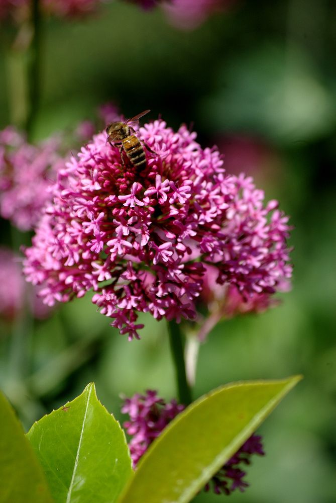 Photograph by Лилия Потравнова