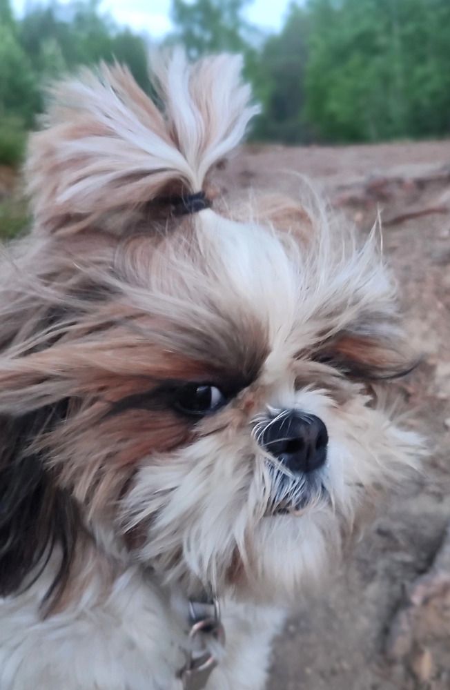 Photograph by Юлия Гинтер