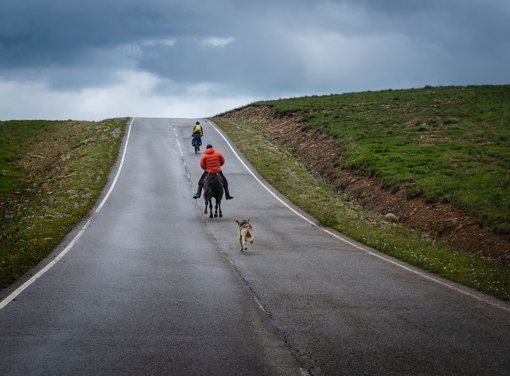 Photograph by Наталья Сергеева