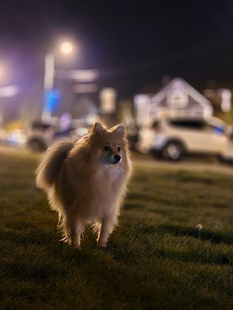 Photograph by Светлана Широкова