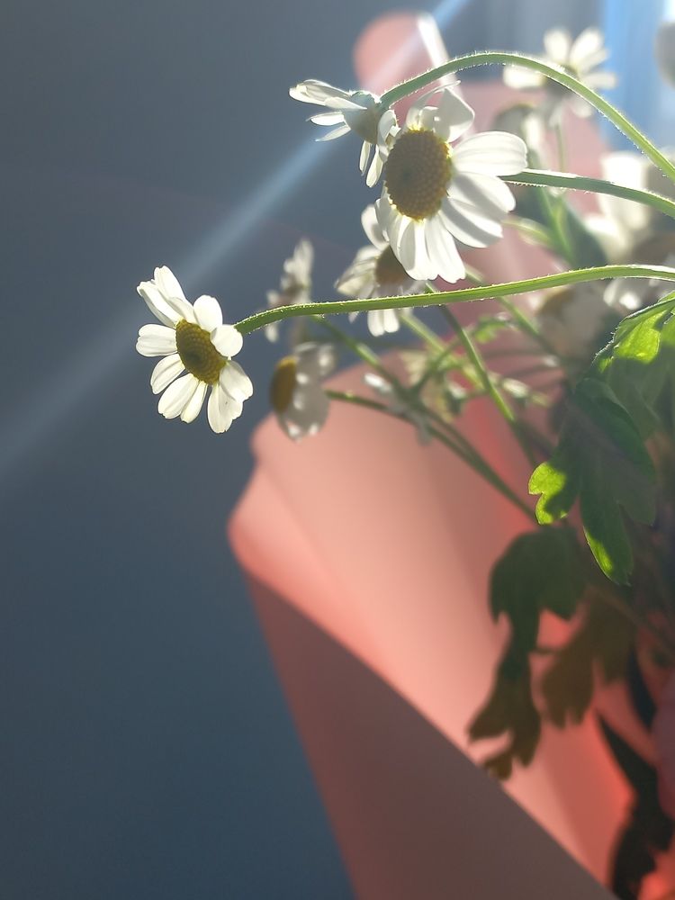 Photograph by Оксана Антипова