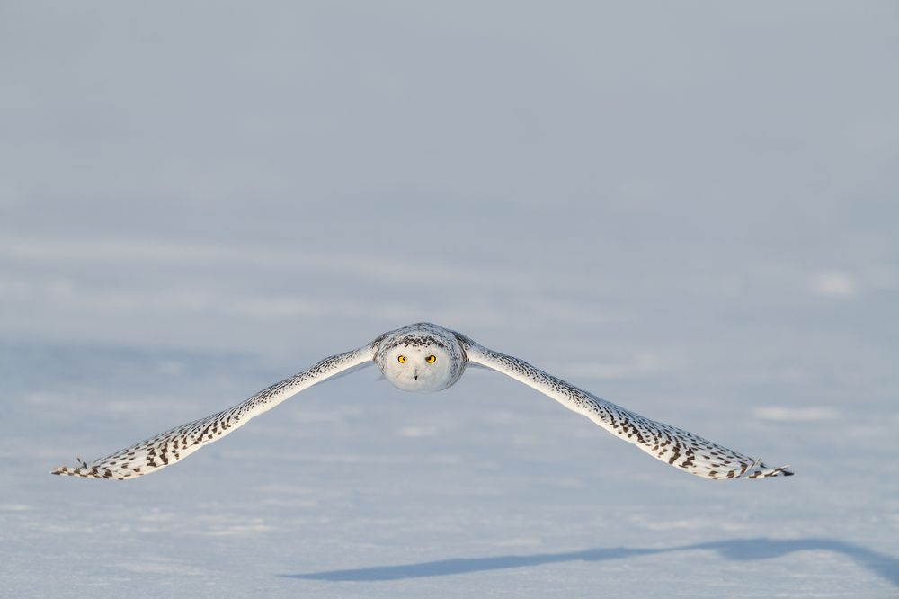 Photograph by Cindy Jones