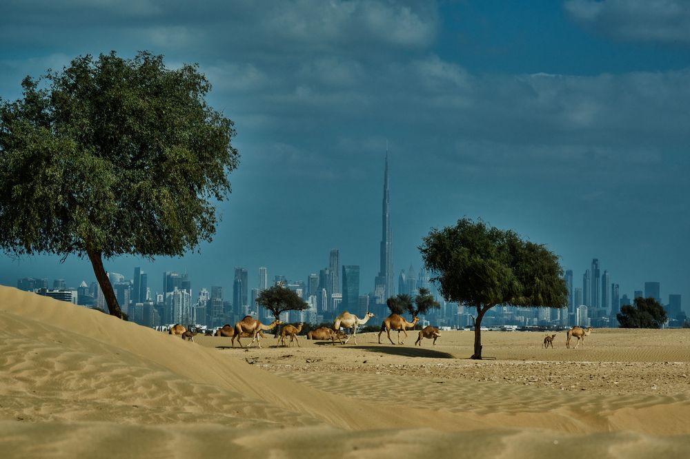 The sustainable city