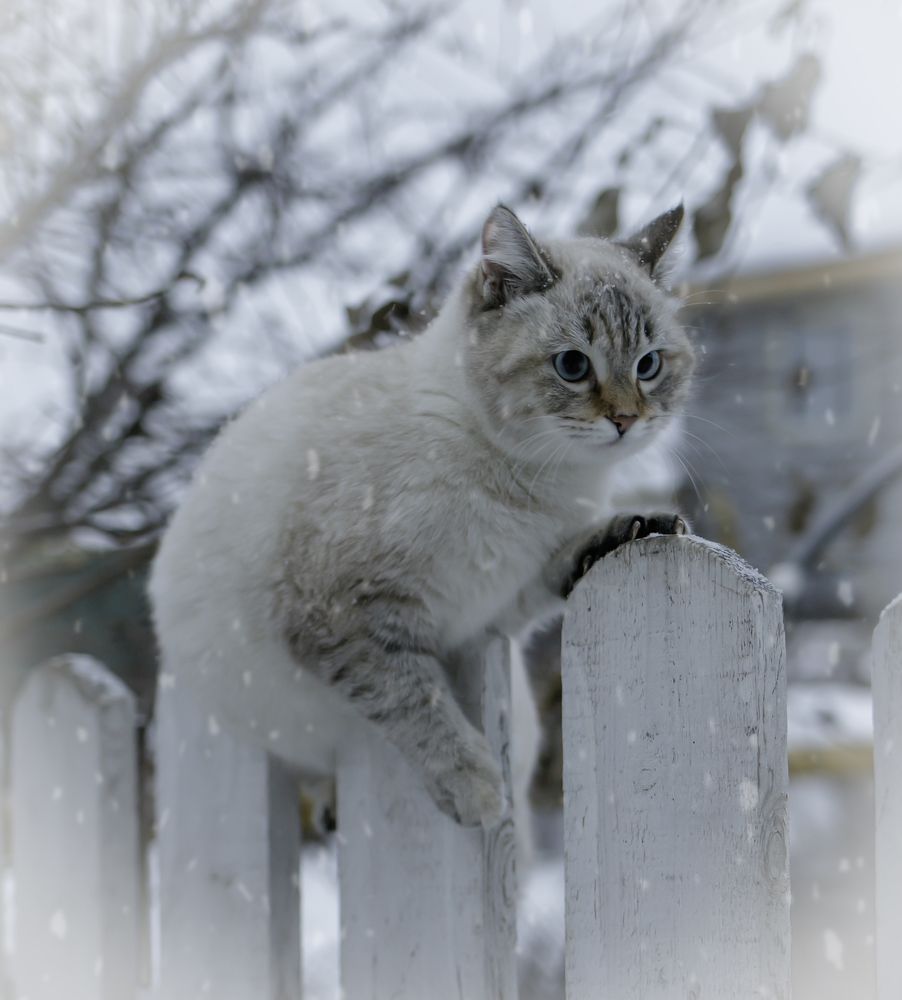 Photograph by Евгения Бронова