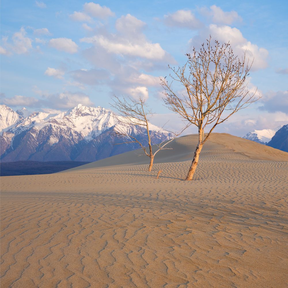 Photograph by Леонтьев Константин