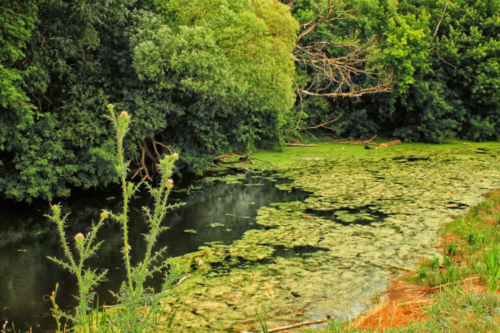 Photograph by Vitaliy Saposhnikov