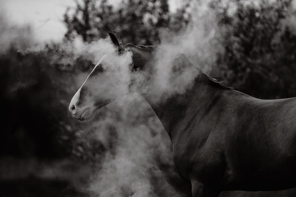 Photograph by Кристина Ксендзова