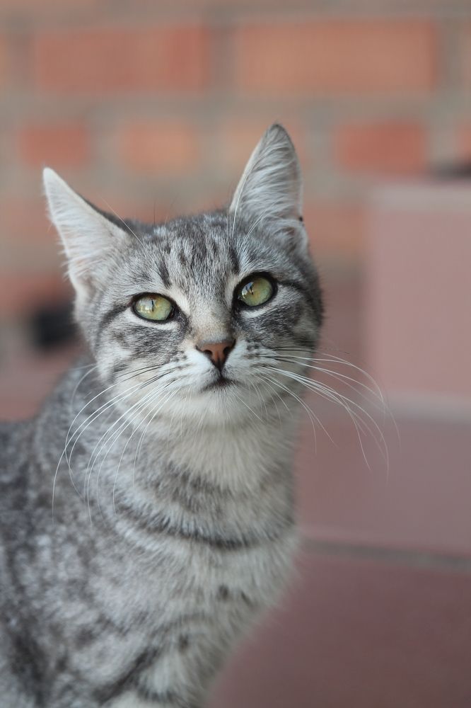 Photograph by Анастасия Галенко