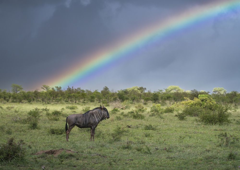 Photograph by Simone Caldonazzi