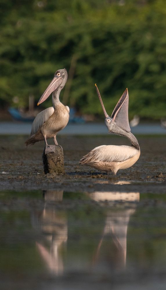 Monday morning Affair !