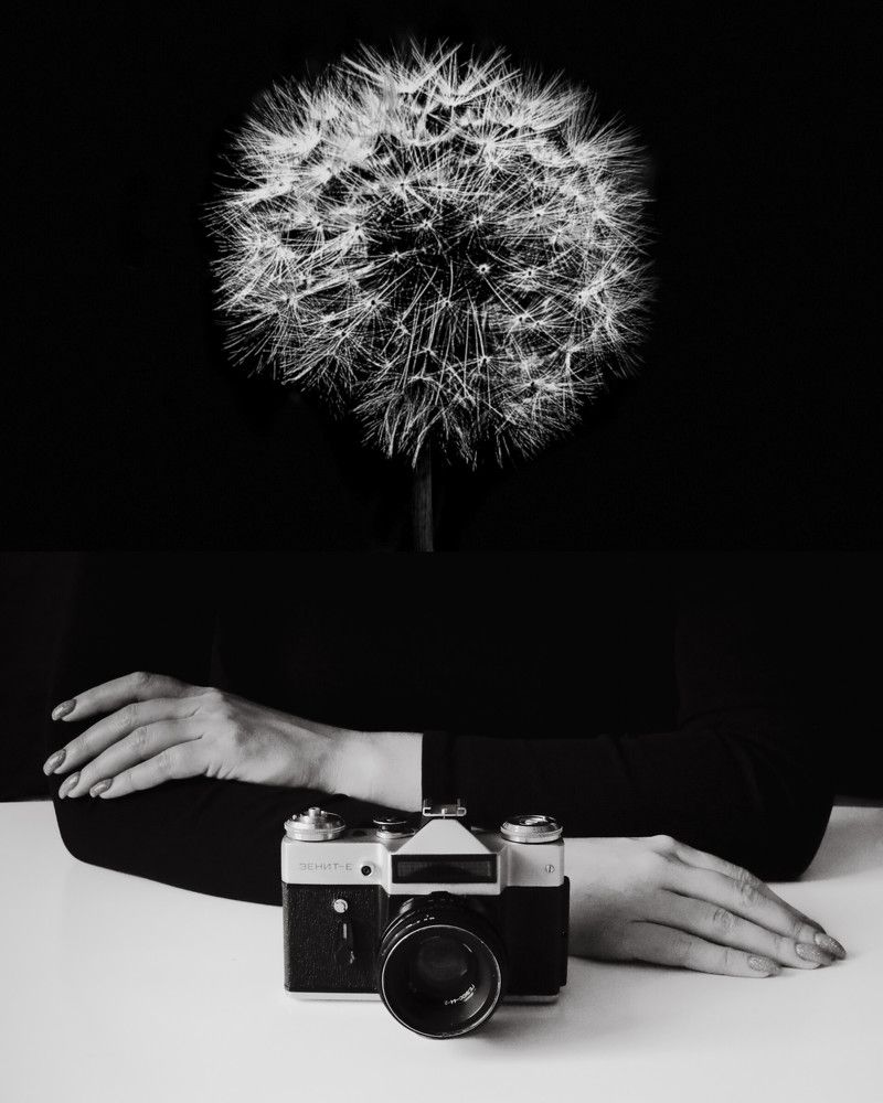 Photograph by Елена Мариничева