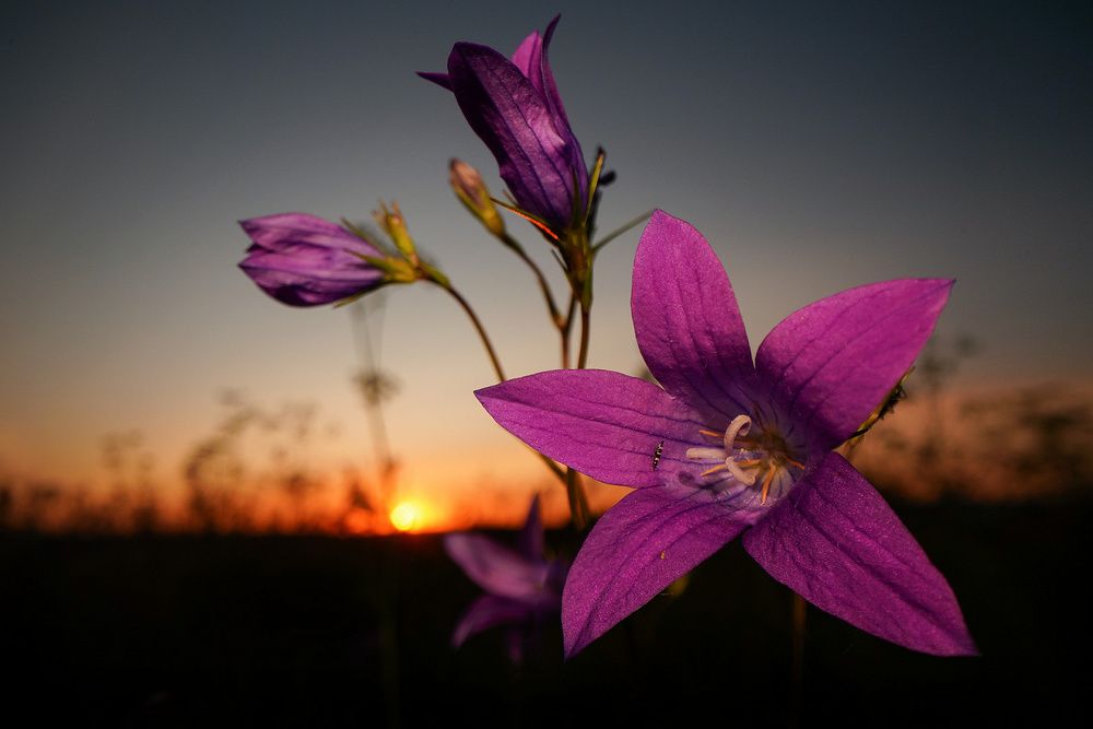 Фотография автора Mashin Rostislav