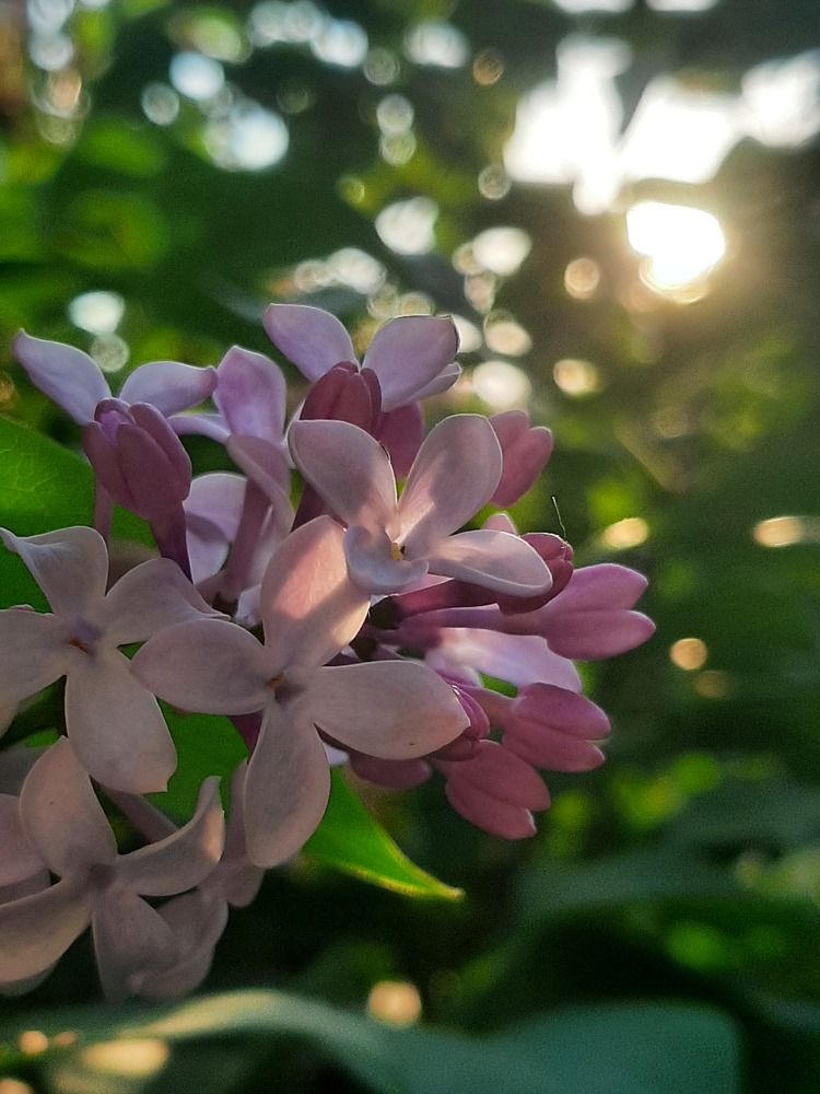 Photograph by Оксана Антипова