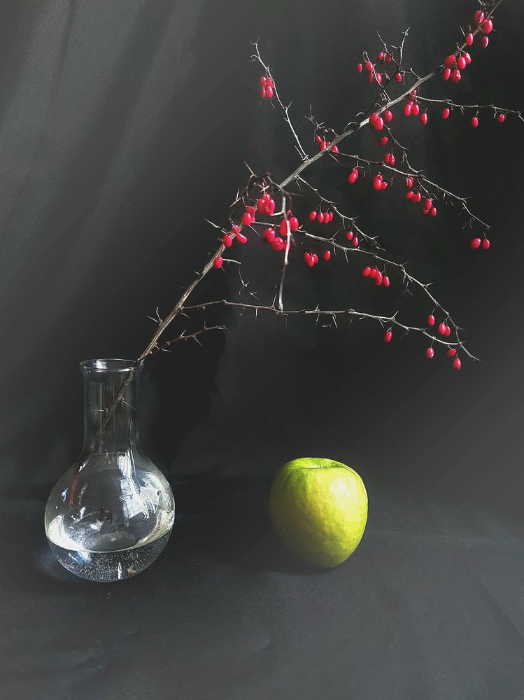 Photograph by Елена Кирикова