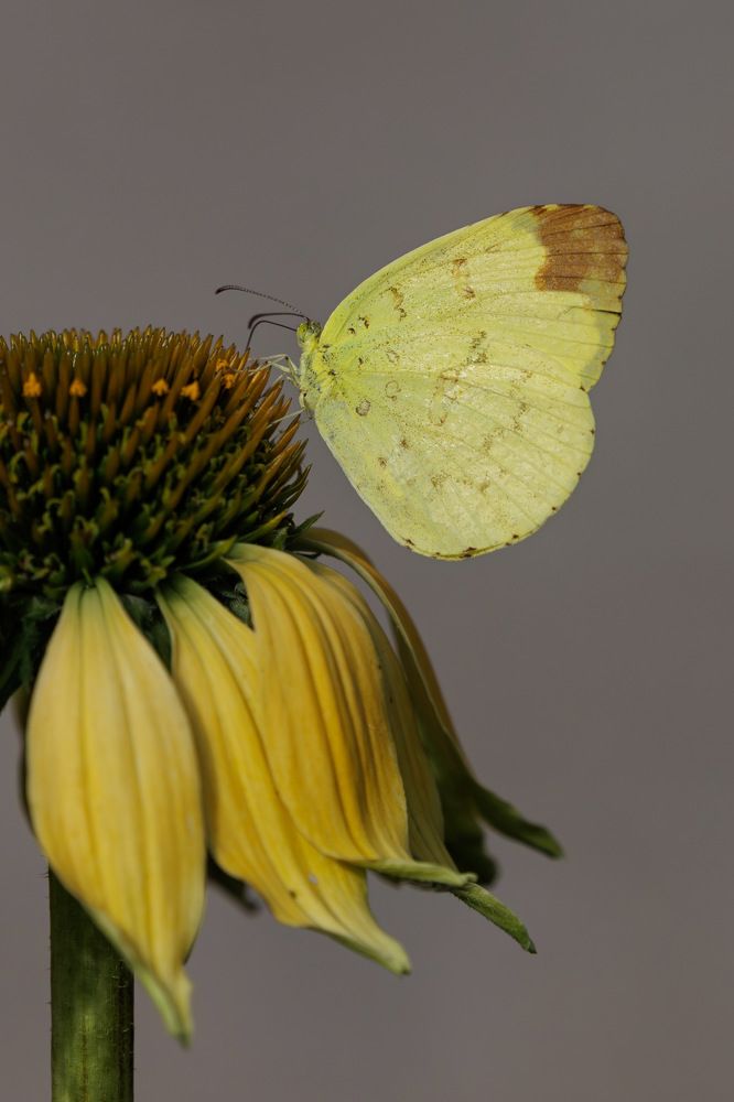 Photograph by Benny Chan