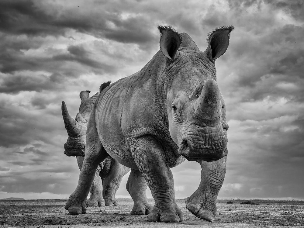 Photograph by Karthick Sridharan