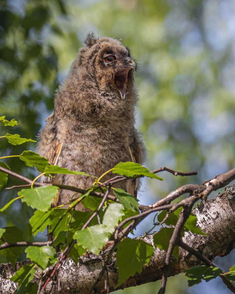 Photograph by Дина Нестеркова