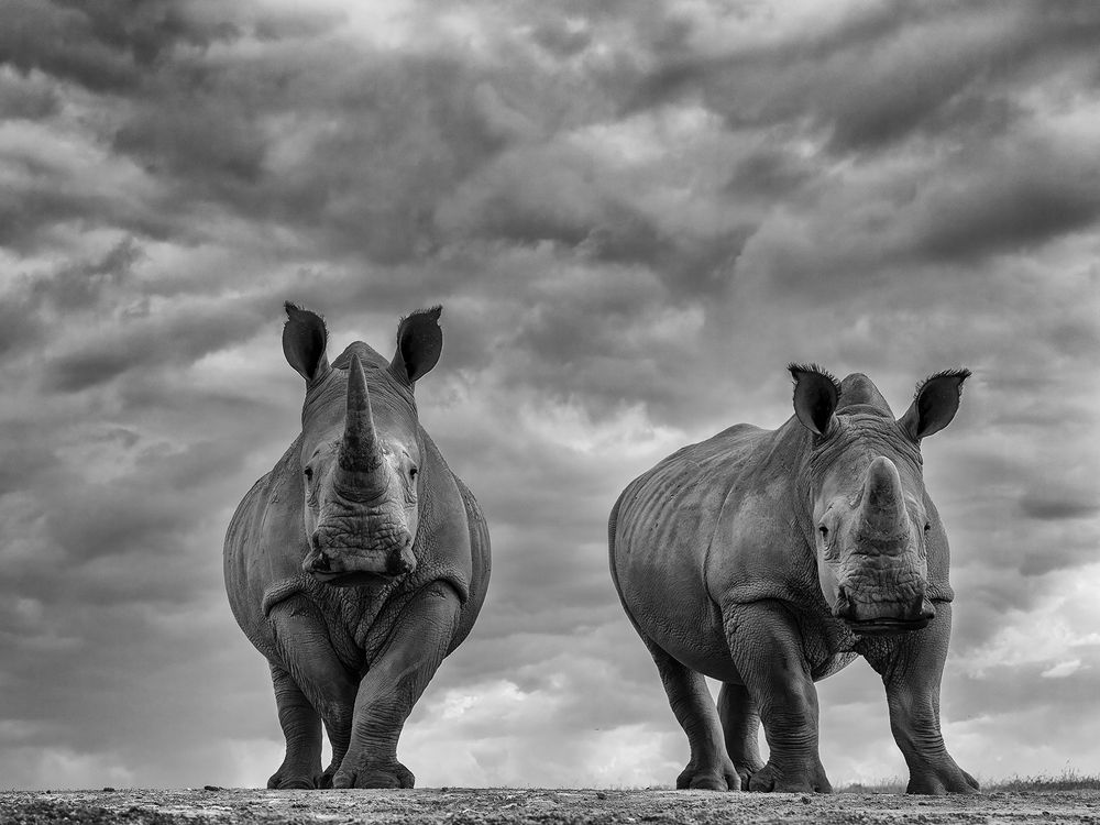 Photograph by Karthick Sridharan