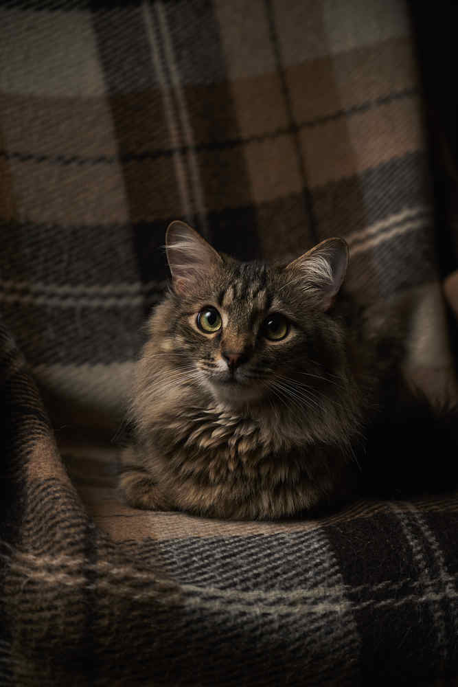 Photograph by Сахаров Кирилл