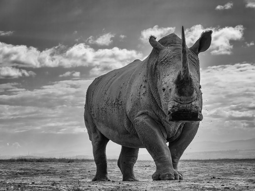 Photograph by Karthick Sridharan