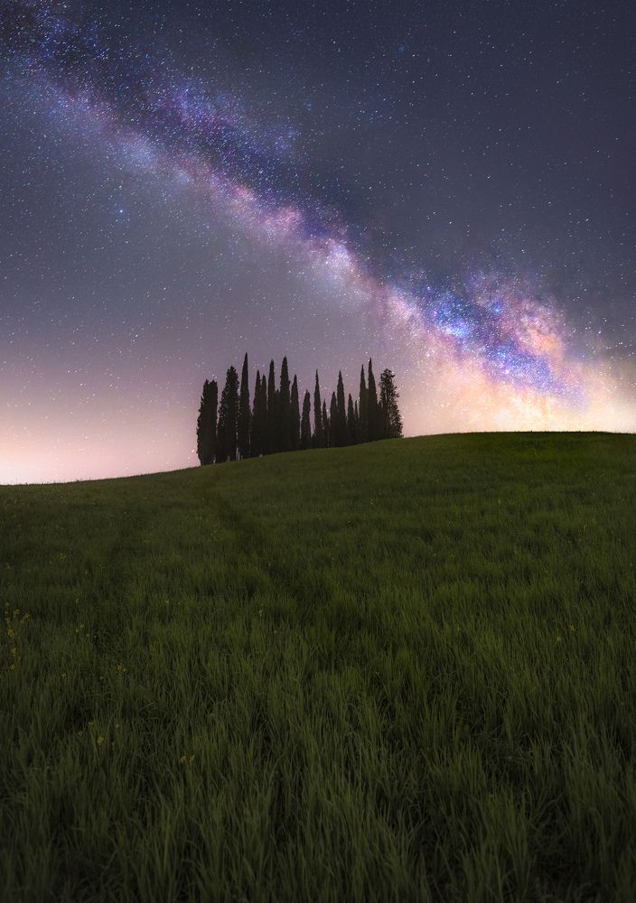 Photograph by Simone Caldonazzi