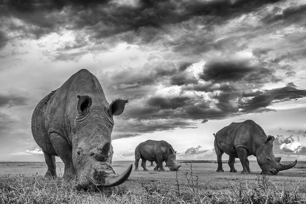 Photograph by Karthick Sridharan