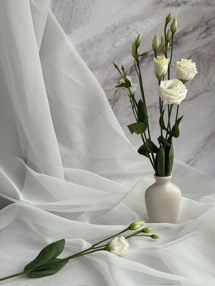 Фотография автора Елена Поживилко