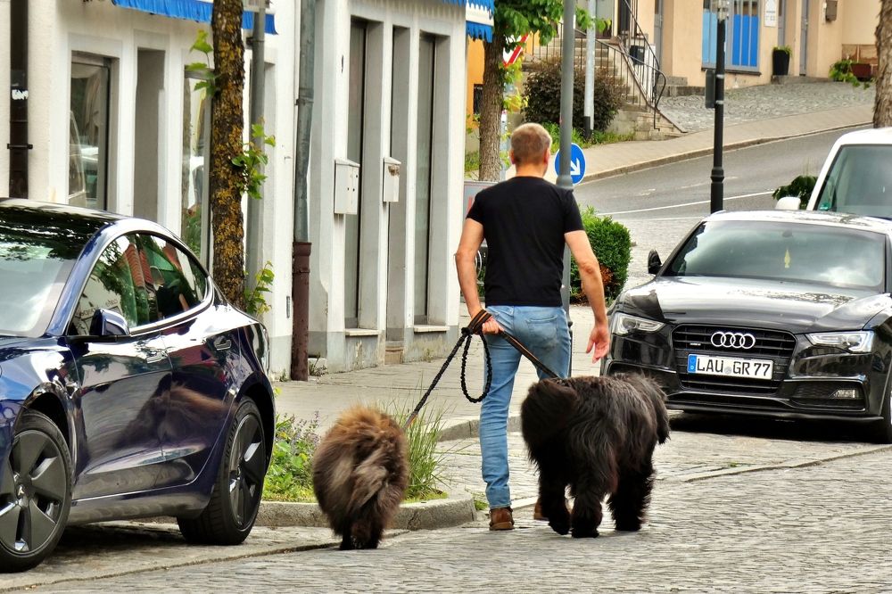 Photograph by backareva irina