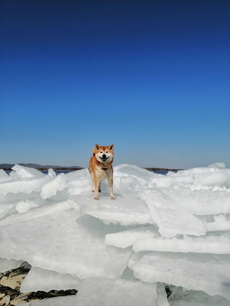 Photograph by Светлана Кудянова
