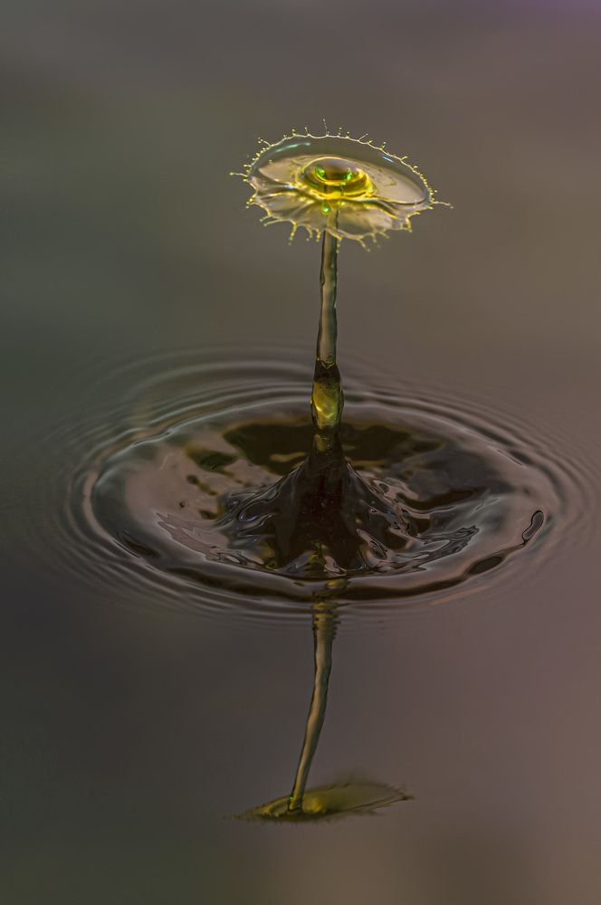 Photograph by Армашов-Тельник Григорий