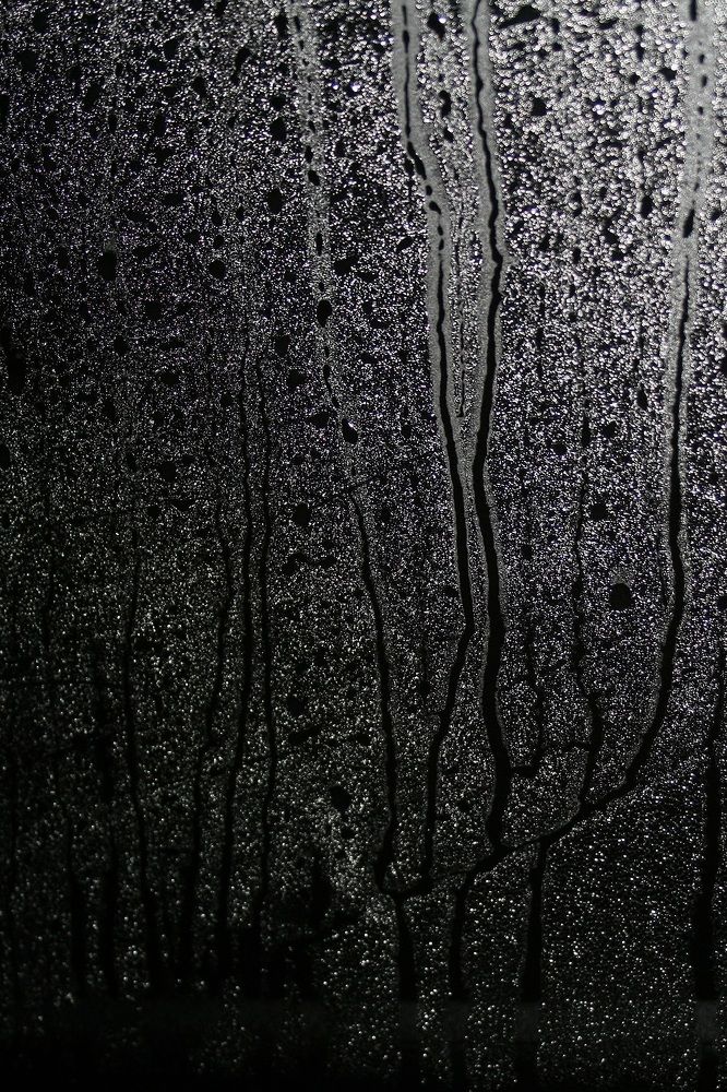 Photograph by Parisa Dehghani