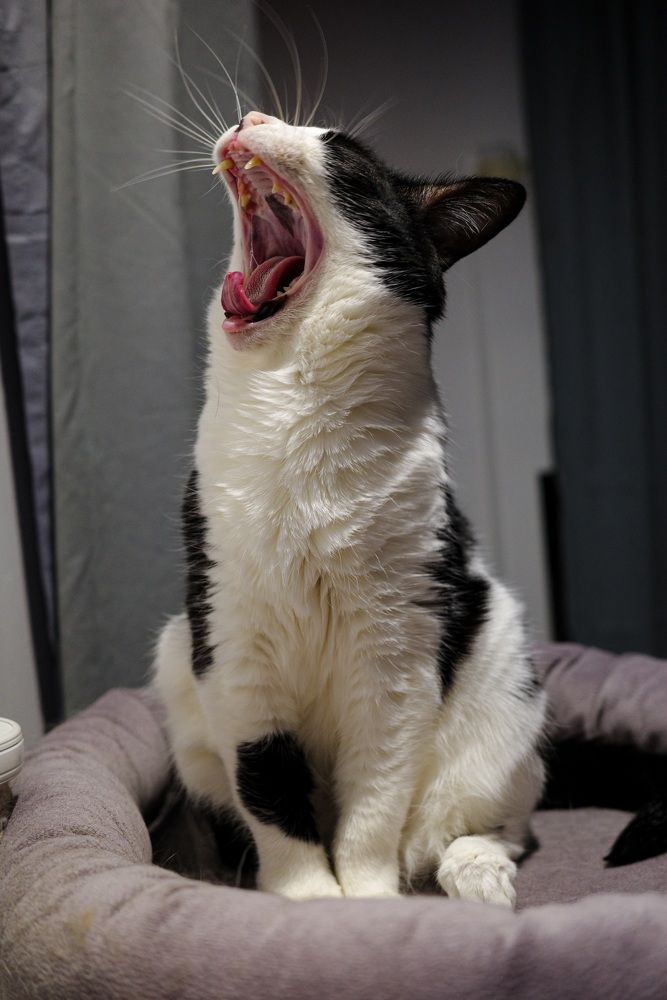 Photograph by Александр Максимов