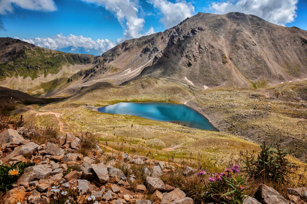 Photograph by EKATERINA WALTER