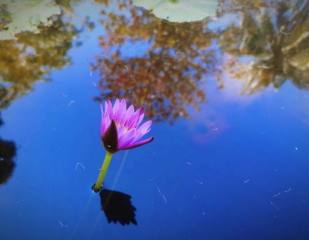 Photograph by Дорофеева Анна