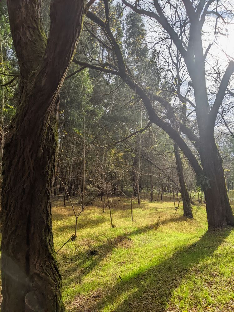 Photograph by Дудников Александр