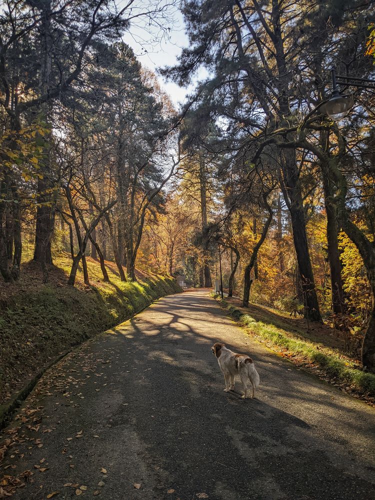 Photograph by Дудников Александр