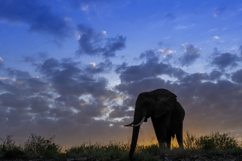 Photograph by Dilip Shah