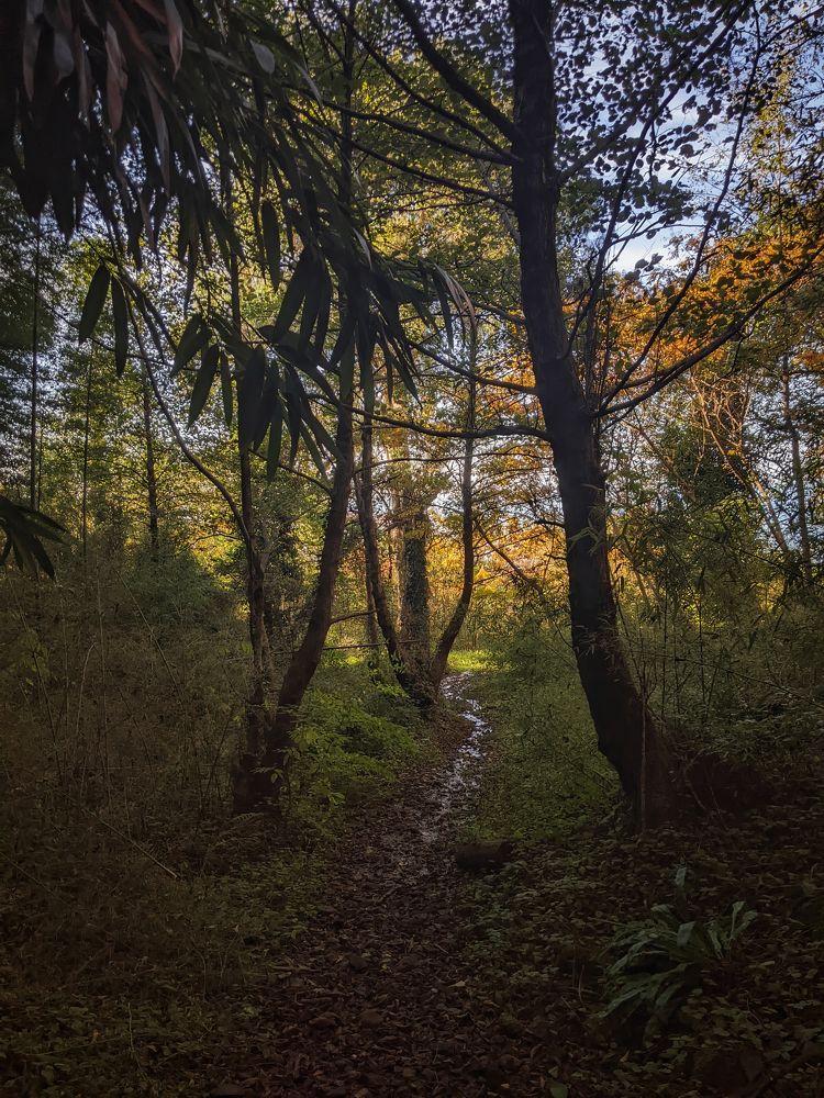 Photograph by Дудников Александр