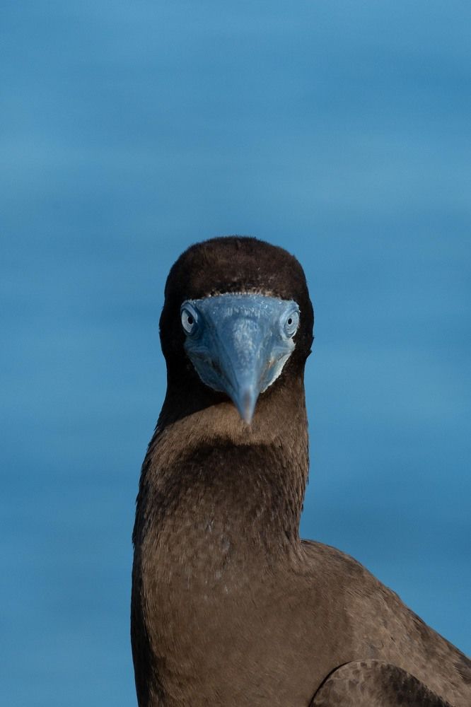 Photograph by Niveth Kumar