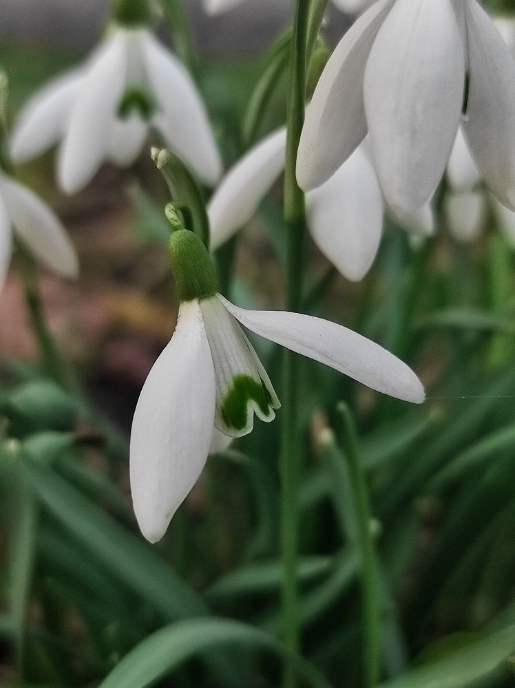 Photograph by Yulya Ziniakova