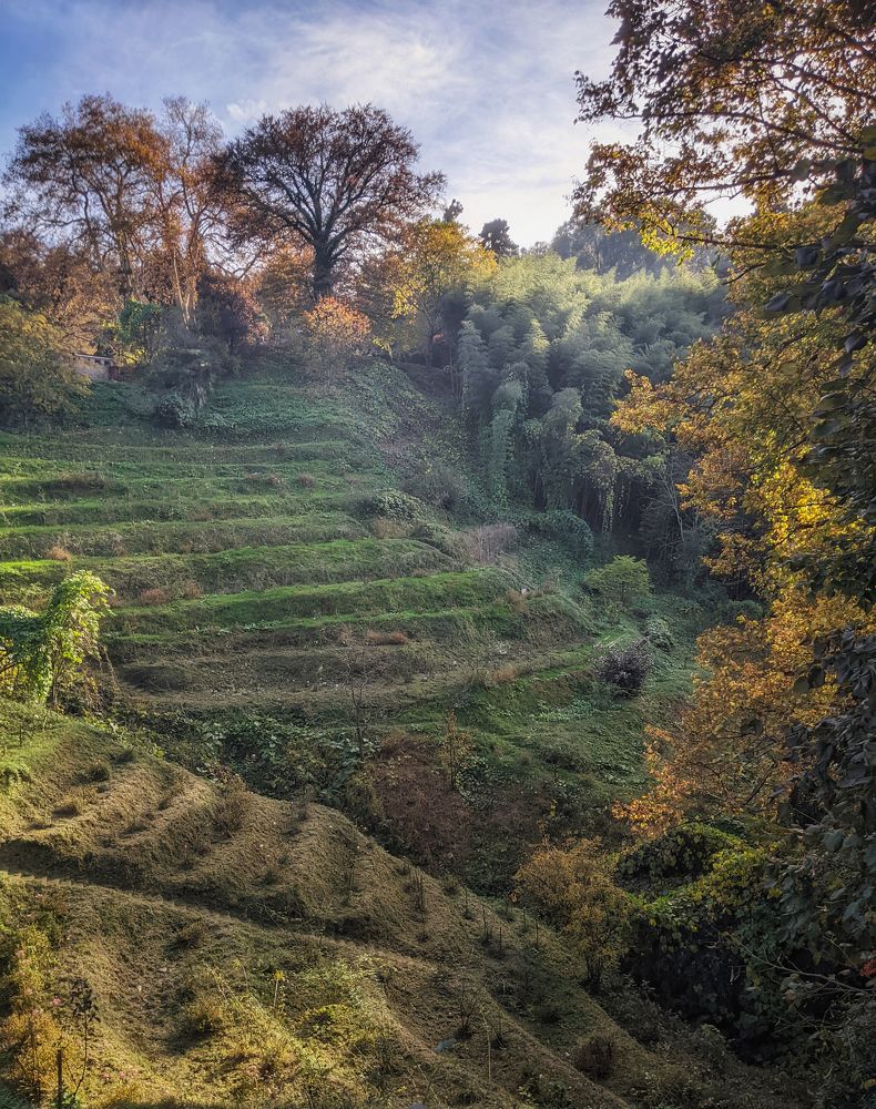 Photograph by Дудников Александр